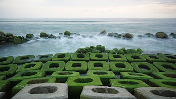 Kè chắn sóng Xóm Rớ - Thiên đường rêu xanh